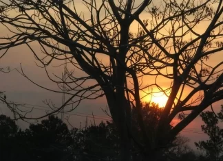 Outono começa em MS com calor e previsão de pancadas de chuva