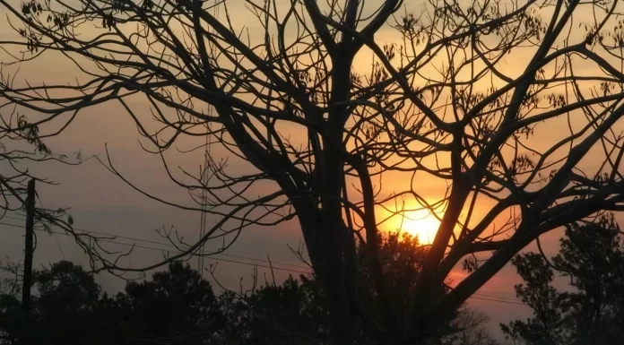 Outono começa em MS com calor e previsão de pancadas de chuva