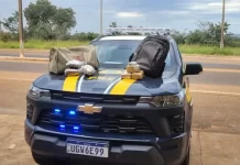 PRF apreende mais de 4 kg de drogas em veículo de aplicativo na BR-262, em MS