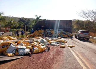 Carregado de ração, caminhão tomba na Serra Sucuriú e deixa BR-060 interditada