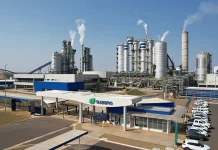 Suzano abre 17 vagas de emprego em Água Clara, Brasilândia, Ribas do Rio Pardo e Três Lagoas
