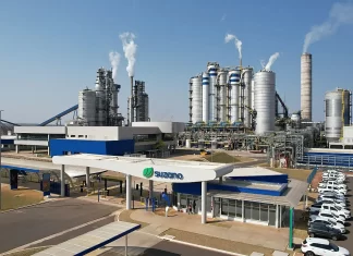 Suzano abre 17 vagas de emprego em Água Clara, Brasilândia, Ribas do Rio Pardo e Três Lagoas