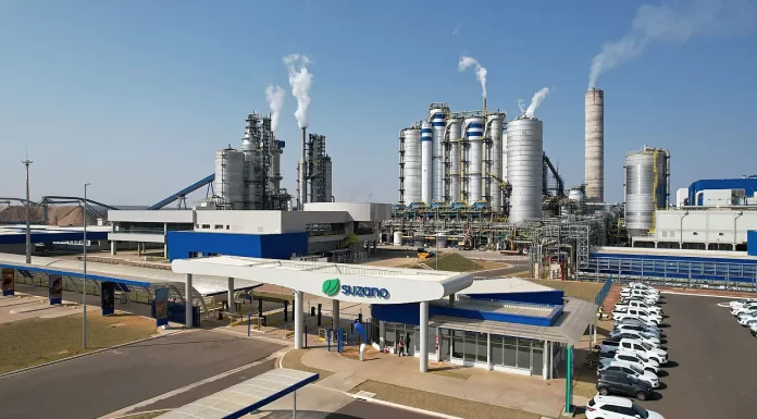 Suzano abre 17 vagas de emprego em Água Clara, Brasilândia, Ribas do Rio Pardo e Três Lagoas