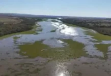 Nova hidrelétrica avança em rio afetado por crise ambiental em MS