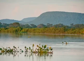 Cerrado brasileiro perdeu 13,9 milhões de hectares de margens de rios